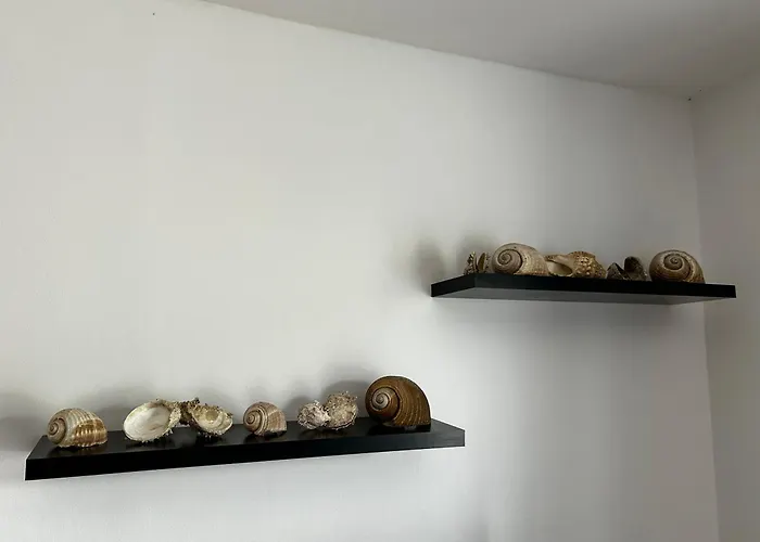 Apartament Petra *